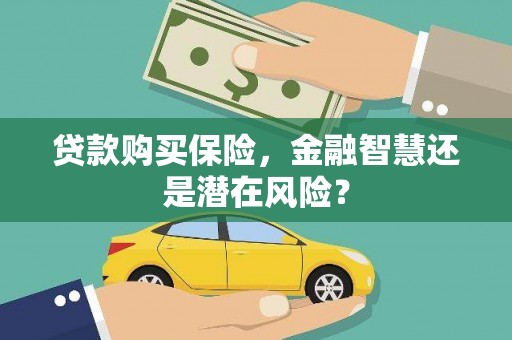 澧县贷款购买保险，金融智慧还是潜在风险？