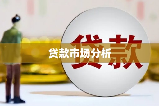 澧县贷款市场分析