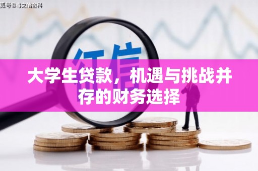 澧县大学生贷款，机遇与挑战并存的财务选择