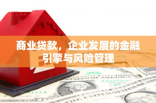 澧县商业贷款，企业发展的金融引擎与风险管理