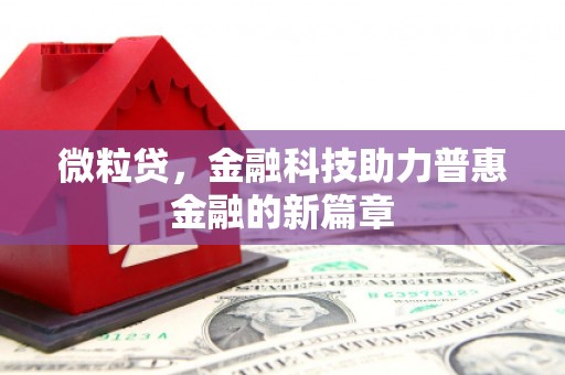澧县微粒贷，金融科技助力普惠金融的新篇章