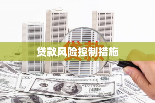 澧县贷款风险控制措施