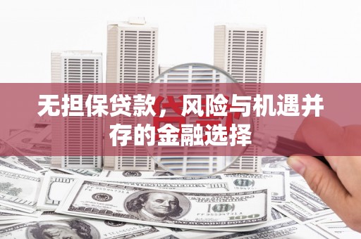 澧县无担保贷款，风险与机遇并存的金融选择