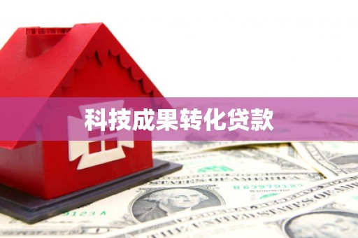 澧县科技成果转化贷款