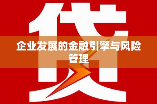 澧县企业发展的金融引擎与风险管理