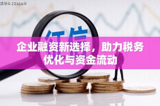 澧县企业融资新选择，助力税务优化与资金流动