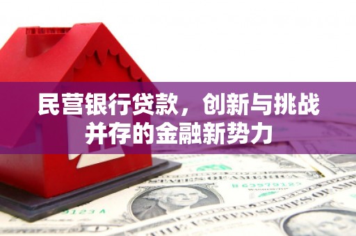 澧县民营银行贷款，创新与挑战并存的金融新势力