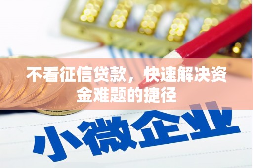 澧县不看征信贷款，快速解决资金难题的捷径