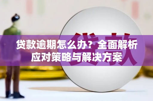 澧县贷款逾期怎么办？全面解析应对策略与解决方案