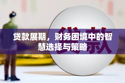 澧县贷款展期，财务困境中的智慧选择与策略