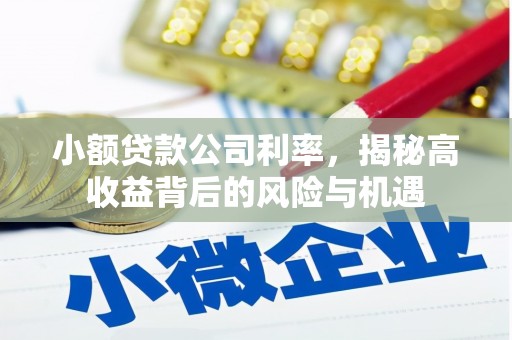 澧县小额贷款公司利率，揭秘高收益背后的风险与机遇