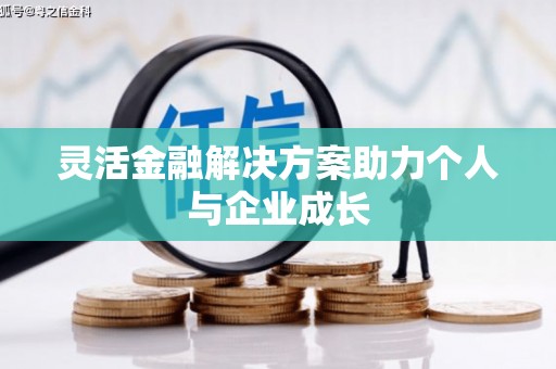 澧县灵活金融解决方案助力个人与企业成长