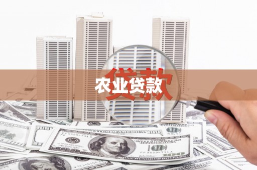 澧县农业贷款