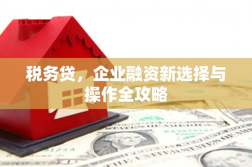 澧县税务贷，企业融资新选择与操作全攻略