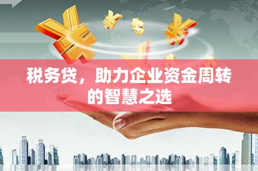 澧县税务贷，助力企业资金周转的智慧之选