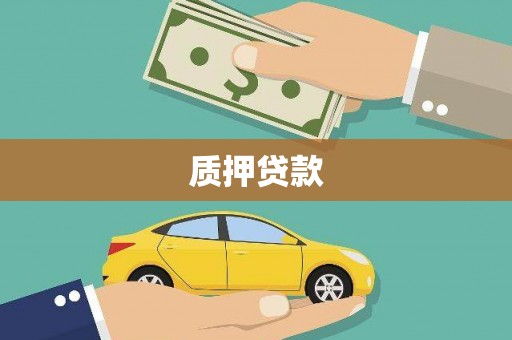 澧县质押贷款