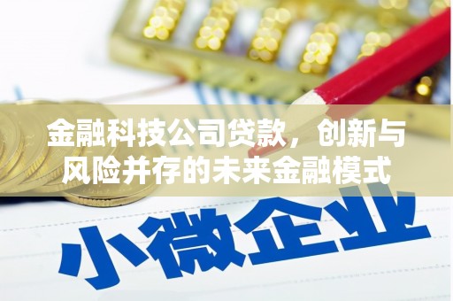 澧县金融科技公司贷款，创新与风险并存的未来金融模式