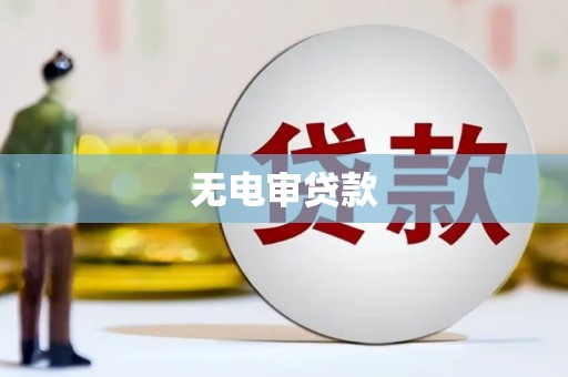 澧县无电审贷款