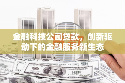 澧县金融科技公司贷款，创新驱动下的金融服务新生态
