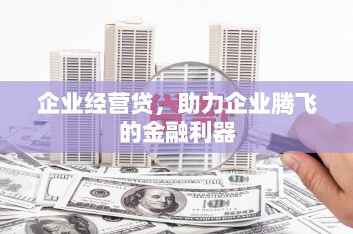澧县企业经营贷，助力企业腾飞的金融利器