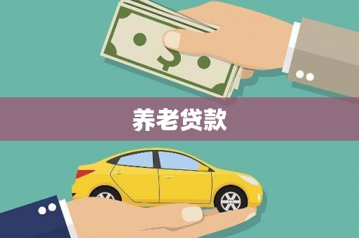 澧县养老贷款