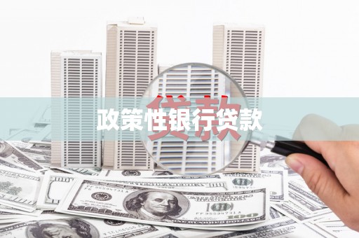 澧县政策性银行贷款