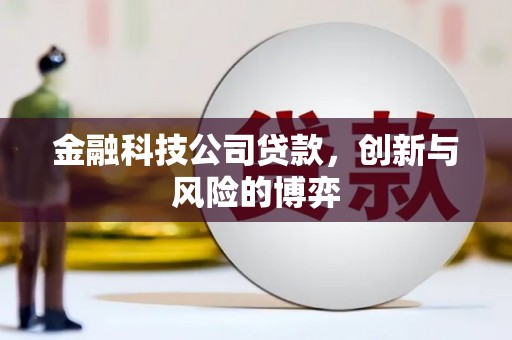 澧县金融科技公司贷款，创新与风险的博弈