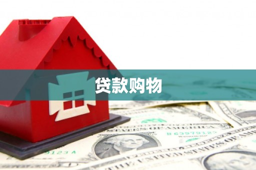 澧县贷款购物