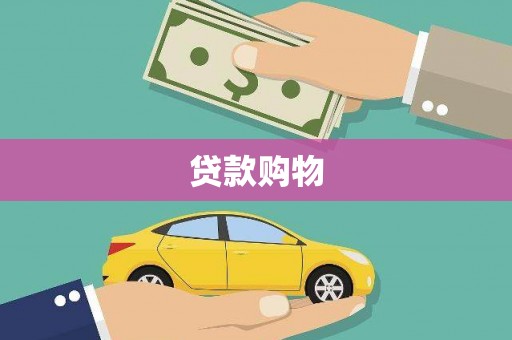 澧县贷款购物
