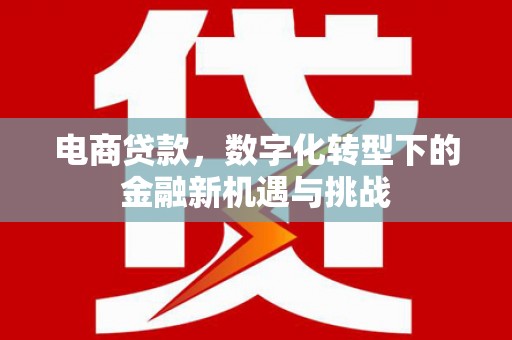澧县电商贷款，数字化转型下的金融新机遇与挑战