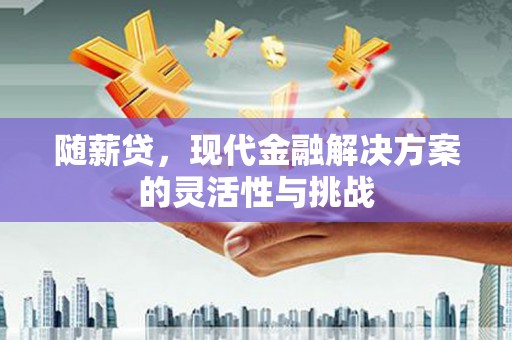 澧县随薪贷，现代金融解决方案的灵活性与挑战