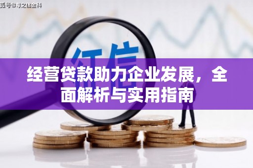 澧县经营贷款助力企业发展，全面解析与实用指南