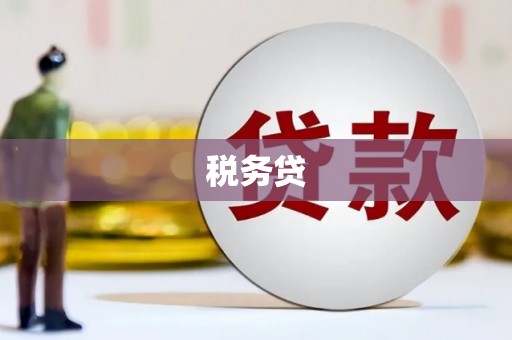 澧县税务贷
