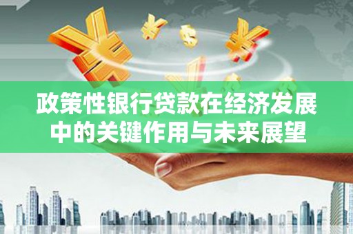 澧县政策性银行贷款在经济发展中的关键作用与未来展望