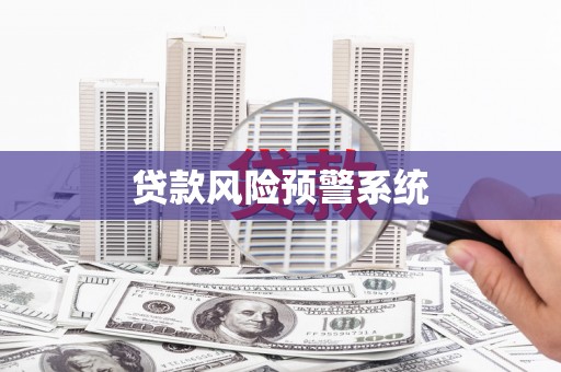 澧县贷款风险预警系统
