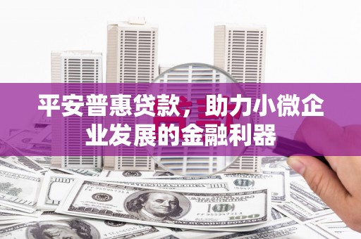 澧县平安普惠贷款，助力小微企业发展的金融利器