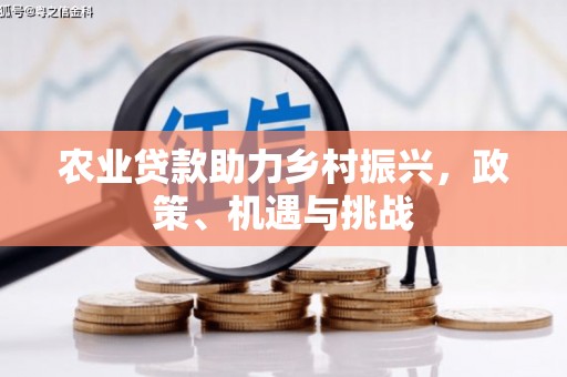澧县农业贷款助力乡村振兴，政策、机遇与挑战