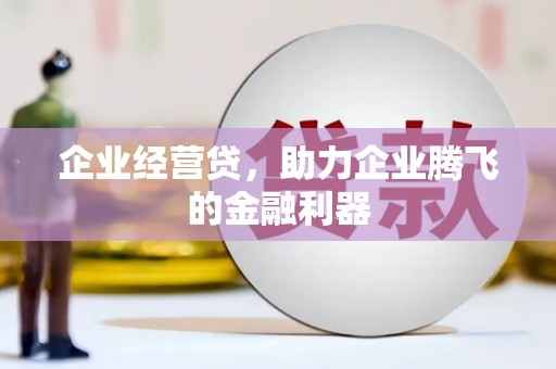 澧县企业经营贷，助力企业腾飞的金融利器