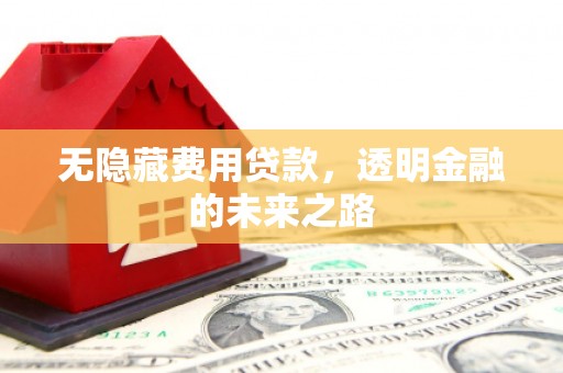澧县无隐藏费用贷款，透明金融的未来之路