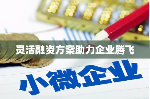 澧县灵活融资方案助力企业腾飞