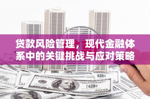 澧县贷款风险管理，现代金融体系中的关键挑战与应对策略