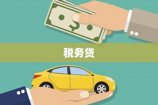 澧县税务贷