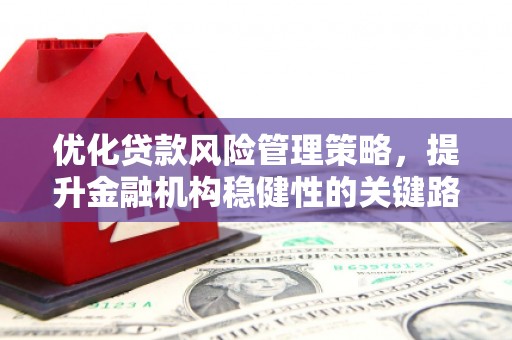 澧县优化贷款风险管理策略，提升金融机构稳健性的关键路径