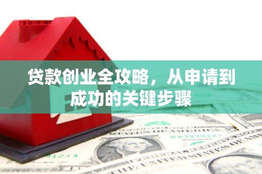 澧县贷款创业全攻略，从申请到成功的关键步骤