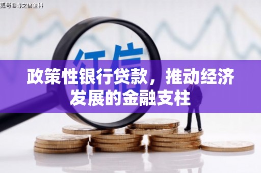 澧县政策性银行贷款，推动经济发展的金融支柱