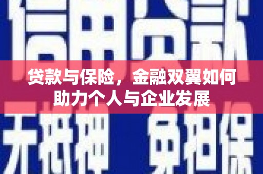 澧县贷款与保险，金融双翼如何助力个人与企业发展