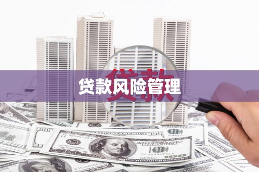 澧县贷款风险管理