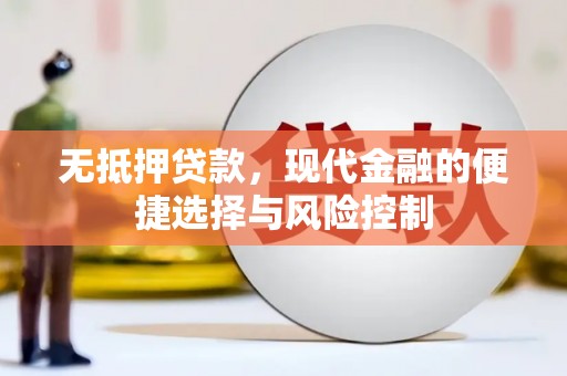 澧县无抵押贷款，现代金融的便捷选择与风险控制