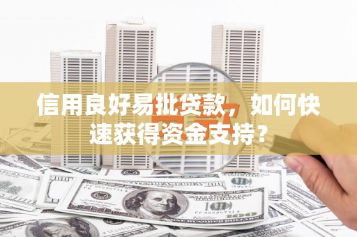 澧县信用良好易批贷款，如何快速获得资金支持？