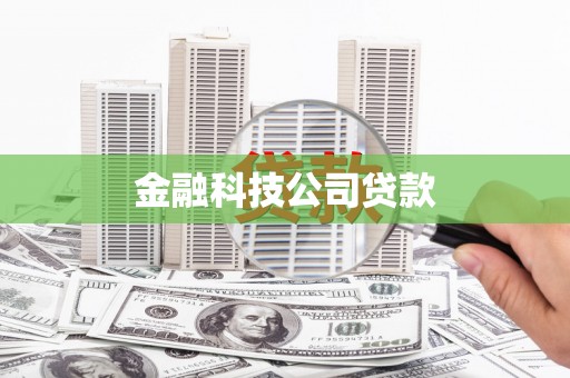 澧县金融科技公司贷款